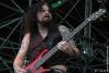 Evergray-00004