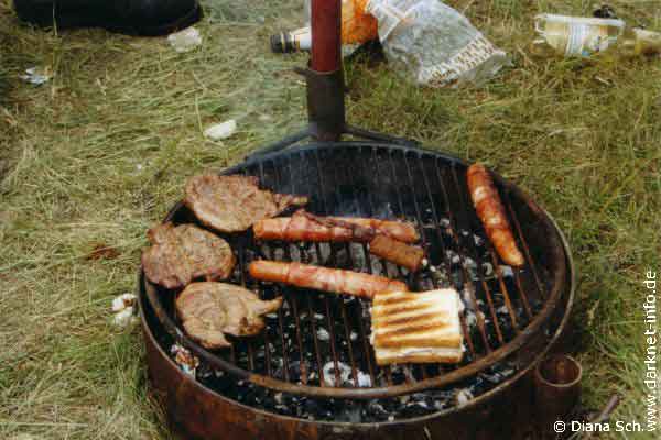 Festivalnahrung2