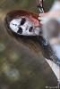 Endezzma_029