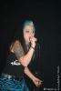 Kitty_in_a_Casket_026
